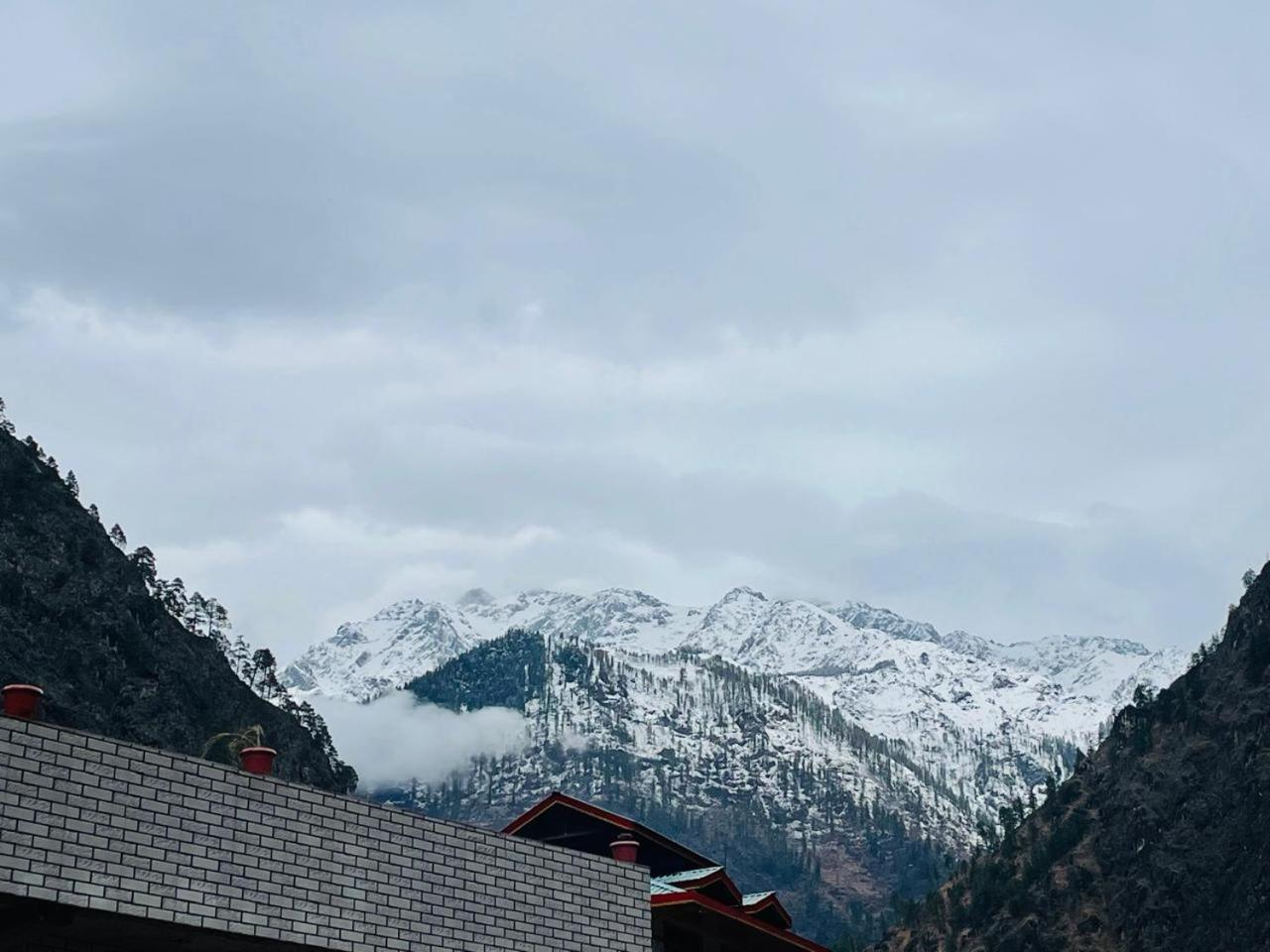 Trippy Homestay Kasol Exteriör bild